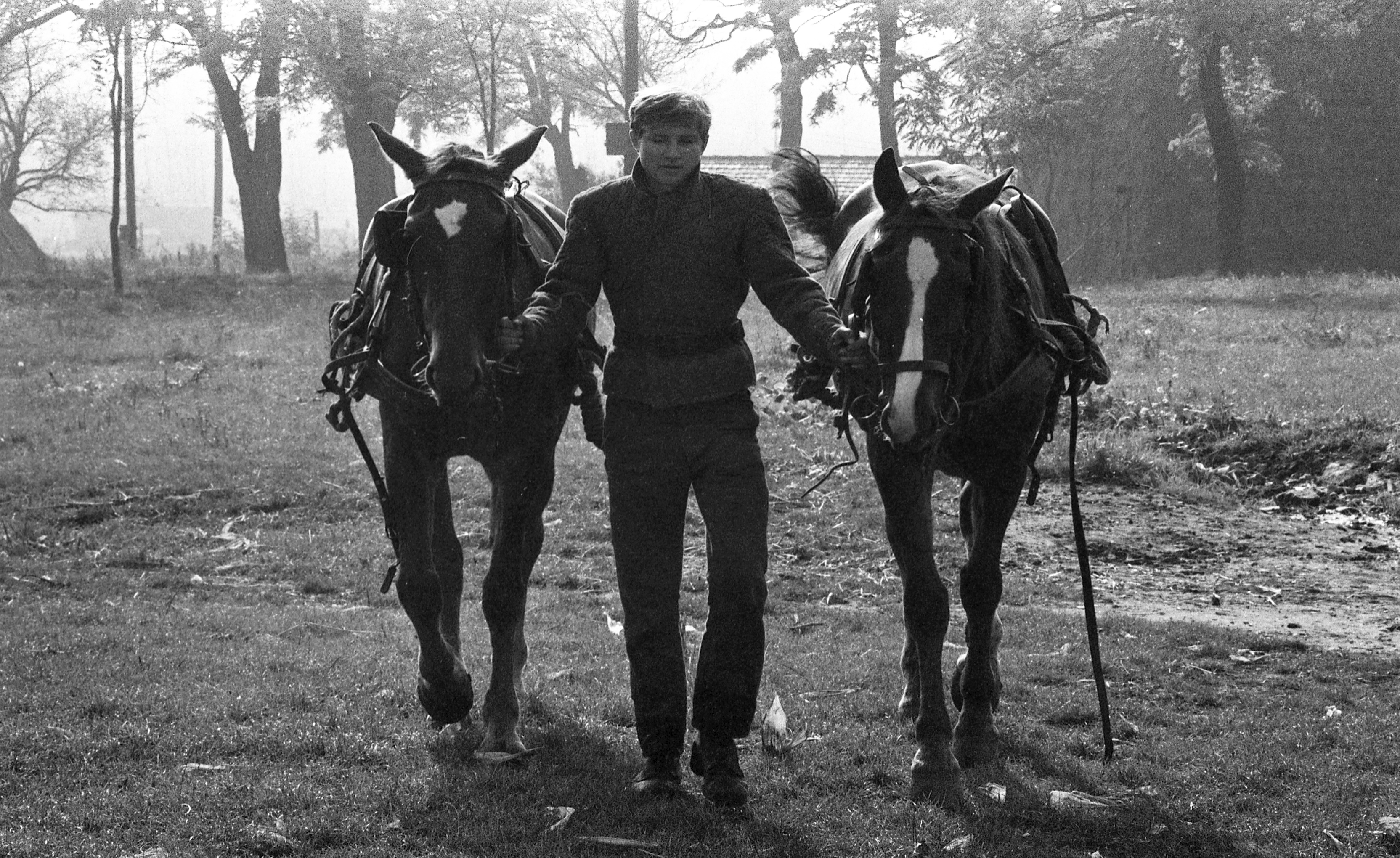 Fortepan, www.fortepan.hu, photo by Urb&aacute;n Tam&aacute;s